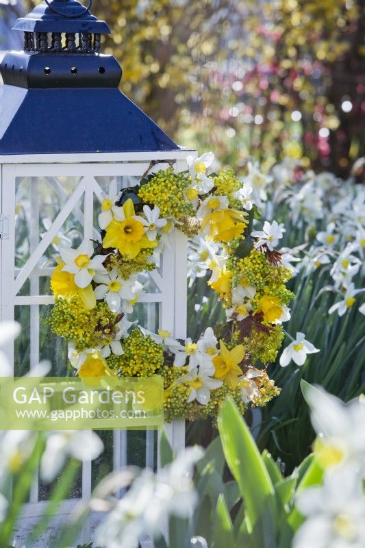 Yellow white themed wreath made of daffodils and mahonia.