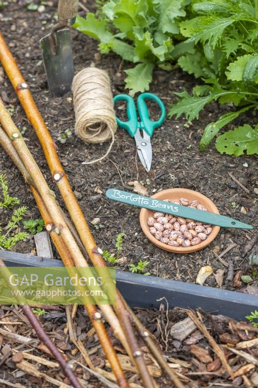 Birch sticks, trowel, string, scissors and Climbing Beans - 'Borlotto Lingua di Fuoco 2' laid out on the ground