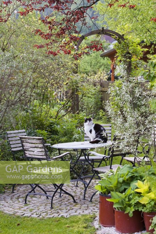 Circular paved patio with garden furniture and a cat on the table. A group of old containers planted with hosta.