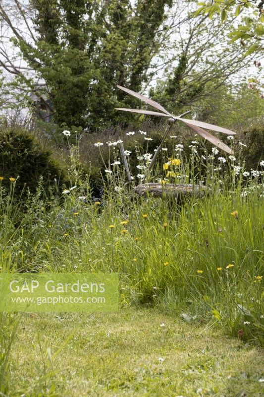 A stone bird bath within a wild, no mow area of garden. A sculpture made of recycled metal of dragonfly is behind the bird bath. Grasses and ox-eye daisies grow freely around the birdbath. A path is mown in front of the wild area and a hedge and tree are in the background.