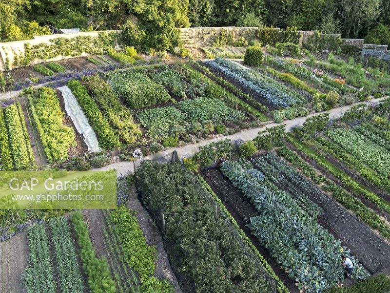 Aerial view of the walled kitchen garden at Gravetye Manor Gardens