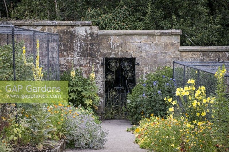 Ornate metal garden gate with Allium design and Hollyhock, Echinops and Evening Primrose in foreground
