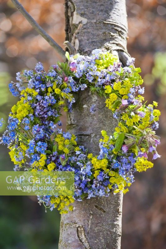 Wreath made of myosotis, euphorbia and pulmonaria attached on a tree branch.