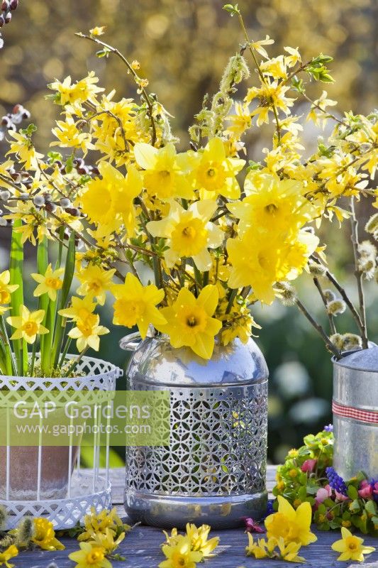 Yellow bouquet with daffodils and forsythia in a vase.