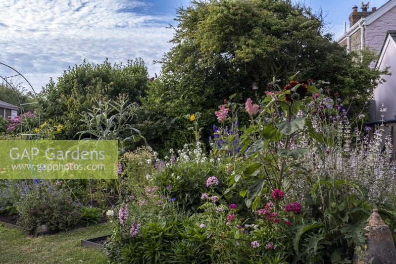 View across cottage garden borders in early summer showing informal planting at different heights, and a jumble of colour