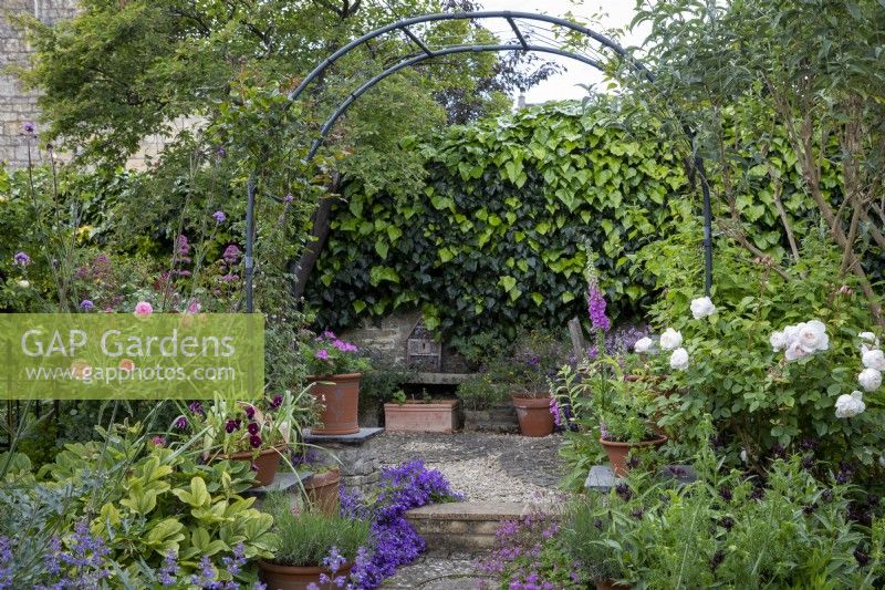 Garden arch flanked to the left by Rosa Bonica and to the right by Rosa 'Desdemona'.