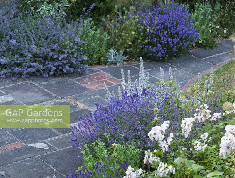 The paving is reused brick and stone found on site.  Planting includes Lavenders 'Munstead' and 'Hidcote', Stachys byzantina and Rosa 'Ballerina'.