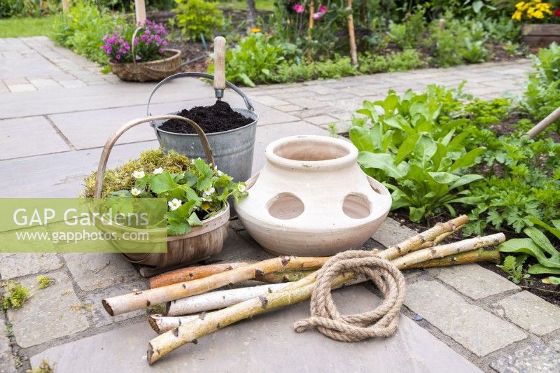 Fragaria vesca - Alpine Strawberries, bucket of compost, strawberry planter, Birch sticks and rope laid out on the ground