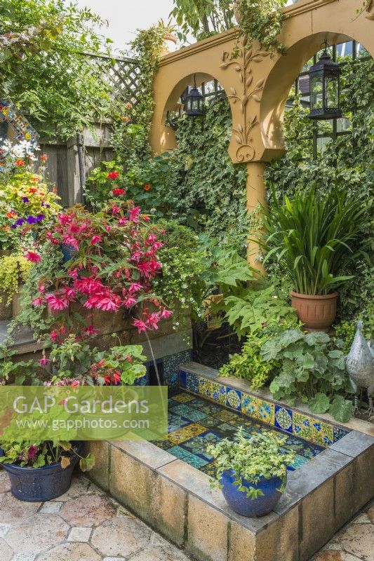 Small, paved courtyard garden styled with a Moroccan theme. Tiled water fountain. Begonias, nasturtiums, pelargoniums and bacopa. 
July.
