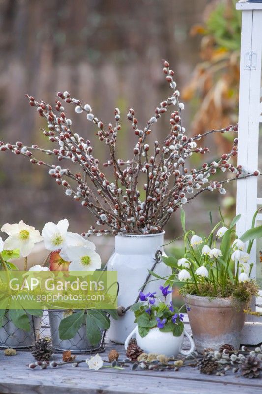 Winter arrangement with Christmas rose, Snowflakes, Viola odorata and pussy willow.