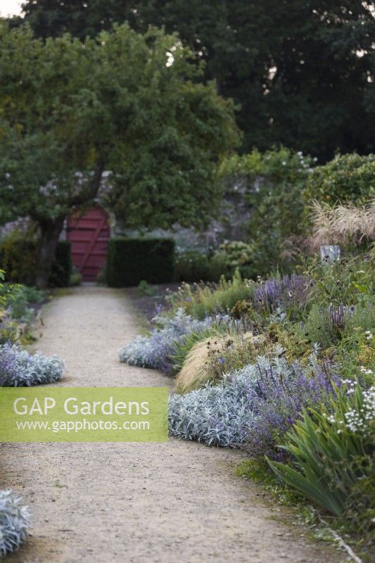 Silver borders in the walled garden at Parham House in September