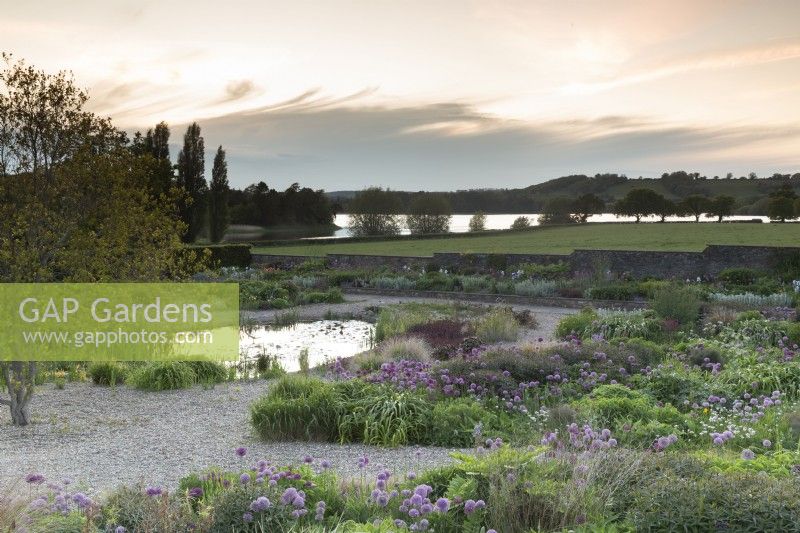 Sunrise view over the gravel garden towards Blagdon Lake - various varieties of alliums and mixed planting flower beds and small pond 