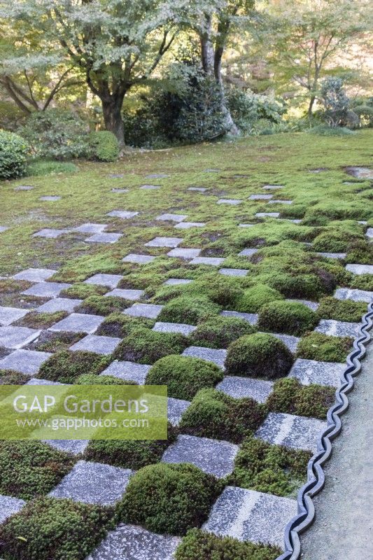 Checkboard of stone squares and moss in the north garden. 