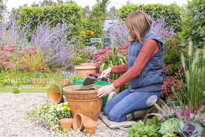 Woman adding a layer of compost over the Narcissus bulbs