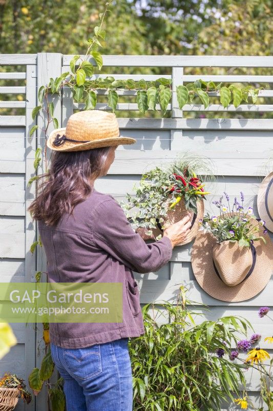 Woman hanging hat planters on wooden fence