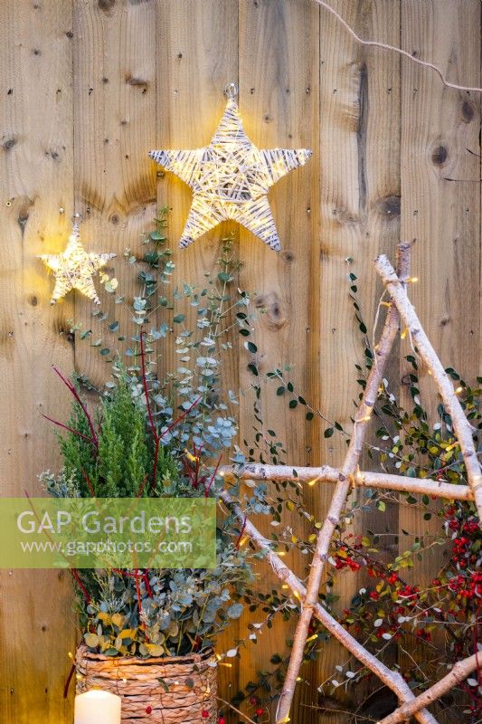 Birch star and a wicker pot containing Juniper, Cornus sticks and Eucalyptus sprigs with a trug of Ivy and wicker light up stars hanging on the wall above