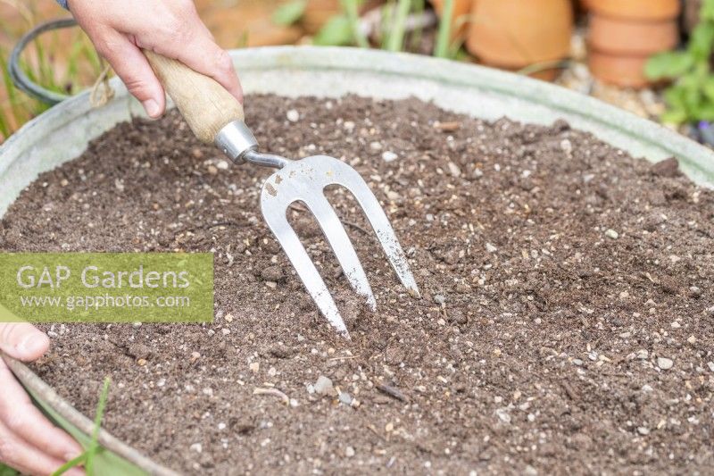 Woman using fork to carefully turn the compost so that the seeds are buried just beneath the surface