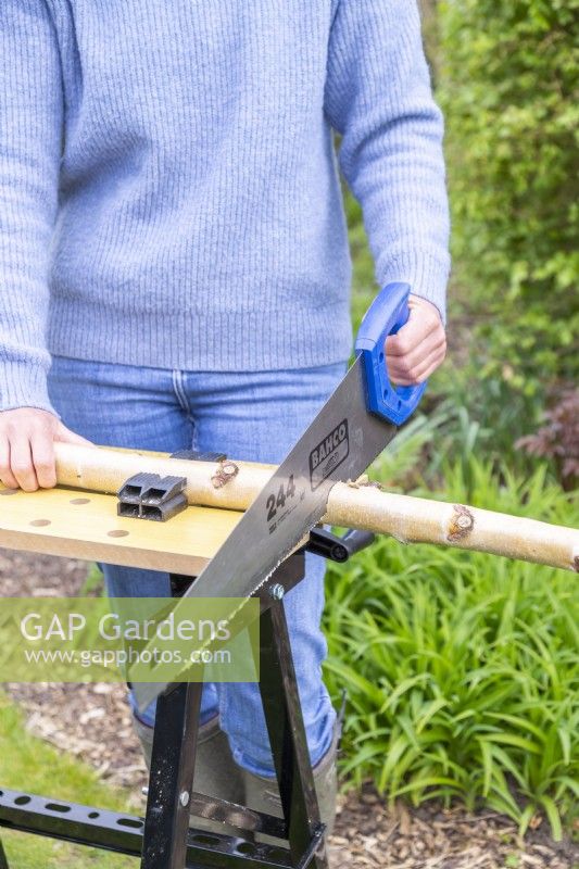 Woman sawing birch stick in half