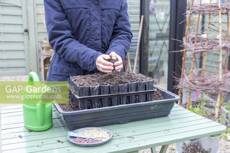 Woman placing compost over the root trainers