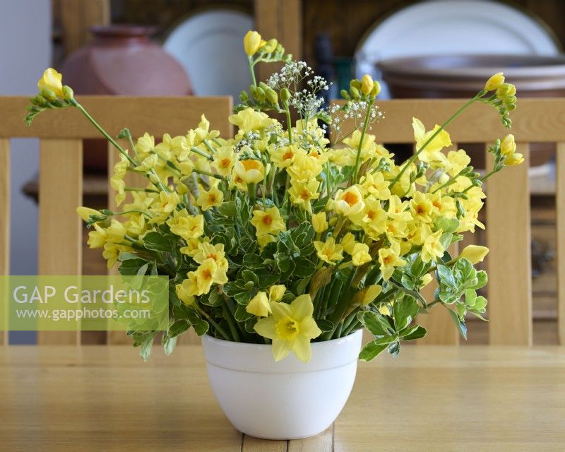 A bowl of cut daffodils and freesias
