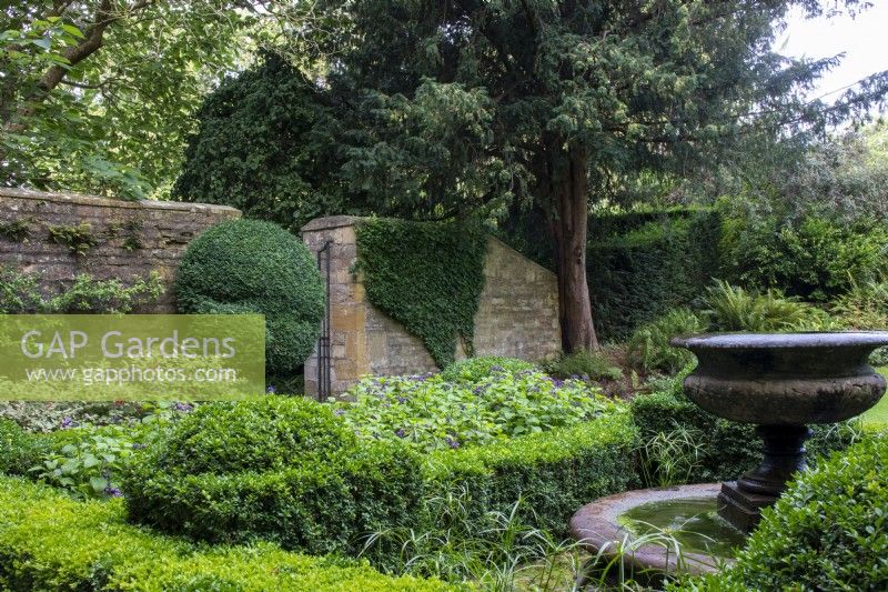 View across the Fountain Garden with clipped box towards a Cotswold stone wall at Bourton House Garden, Gloucestershire.