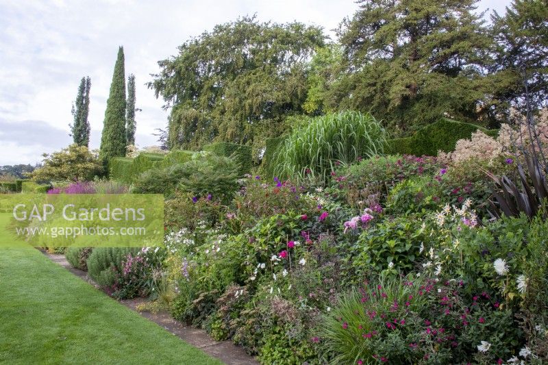 The long West Lawn Border at Bourton House, Gloucestershire, has a mix of textures and a pink theme.
