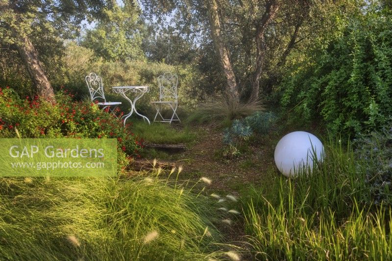 Mediterranean garden view with mass planting of drought tolerant plants, bushes and trees. On foreground is a Pennisetum villosum grass, decorative elements as wooden stairs, white ball and romantic setting with table and chairs. 

Italy, Tuscan Maremma, Orbetello
Autumn season, October
