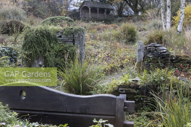 The back of a wooden bench is in the foreground with a stone wall in the centre and a large wooden summerhouse in the background. Between is a variety of planting. The Garden House, Yelverton. Autumn, November
