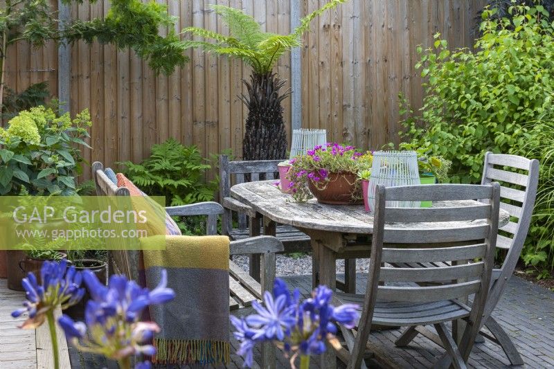 Seen over blue agapanthus heads, dining table with metal pots of succulents and central bowl planted with pink Delosperma cooperi. Behind, ferns and hydrangea.