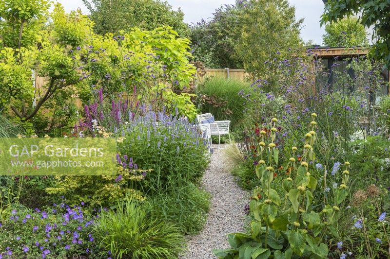 A pebble path edged in perennials. Left border: golden smoke tree, Indian bean tree, Agastache 'Blue Fortune', hardy geraniums, pink lythrum and betony. Right border: Phlomis russeliana, scabious, Verbena bonariensis and helenium.