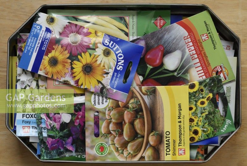 Packets of flower and vegetable seeds in a tin  August