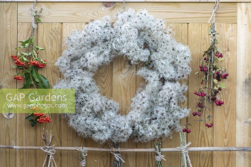 A wire wreath frame is wrapped in dried old man's beard, foraged from hedgerows, between bunches of hawthorn berries and firethorn.