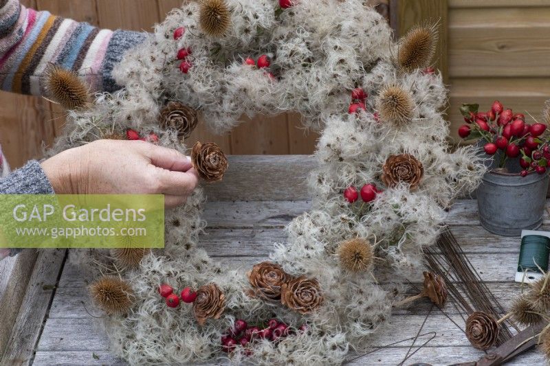 Step-by-Step making a Countryside Wreath from a wire frame wrapped in old man's beard. Step 1: experiment with loosely positioning the rose hips, hawthorn berries, teasels and cedar seed cones.