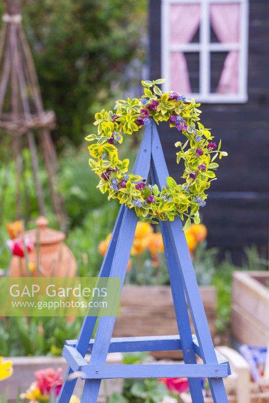 Wreath made of gold variegated Japanese Euonymus, forget me nots and mourning widow hanging from blue painted wooden obelisk.