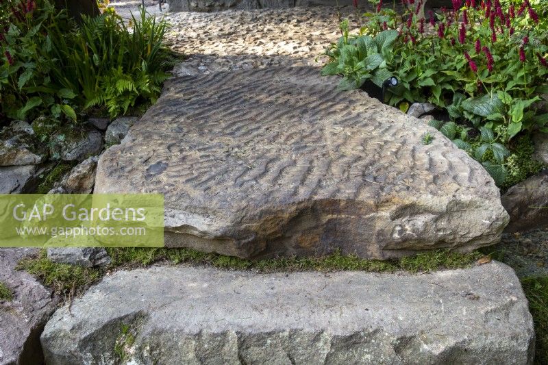 Old weathered stone paving with a wave pattern and steps with Bistorta amplexicaulis 'Blackfield' PBR - Red Bistort syn. Persicaria amplexicaulis Blackfield growing in a border 