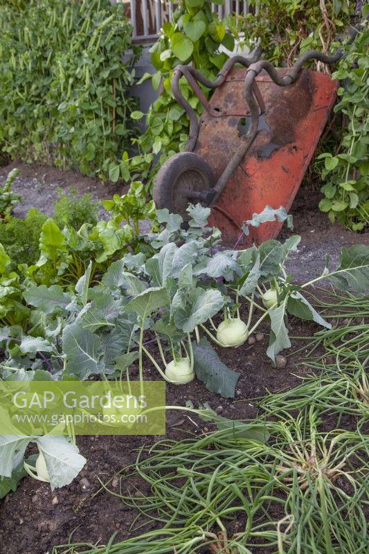 Vegetable garden in the 'Made in Birmingham' garden at BBC Gardener's World Live 2018