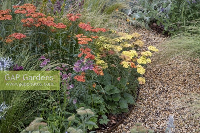 Perennial planting in 'The Children with Cancer UK Strength of Humanity Garden' at BBC Gardeners World Live 2019, June