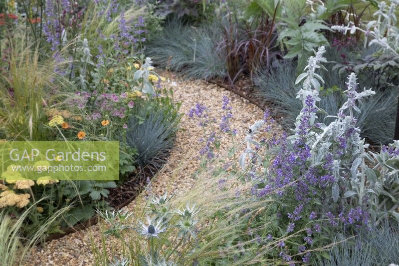 Mixed perennial planting in 'The Children with Cancer UK Strength of Humanity Garden' at BBC Gardeners World Live 2019, June