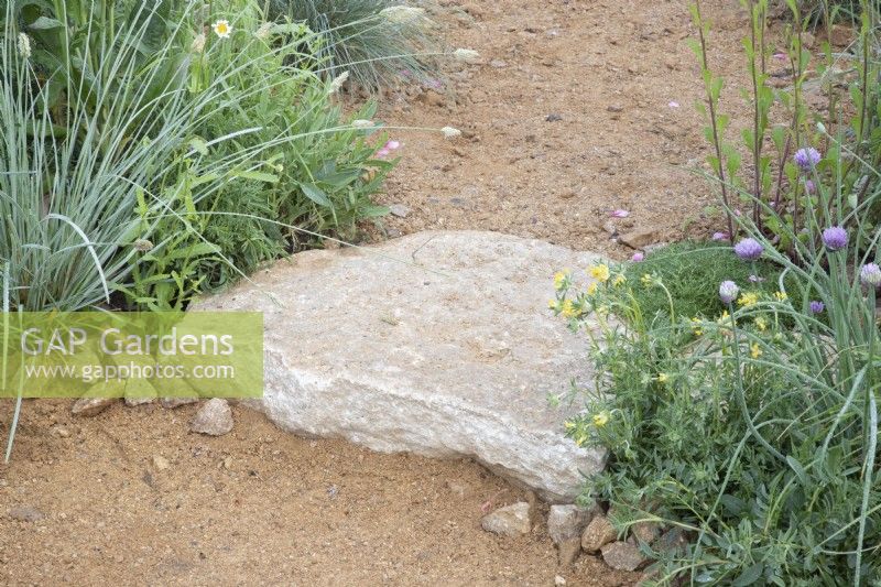 A stone step on a gravel path with planting either side to soften the edges
