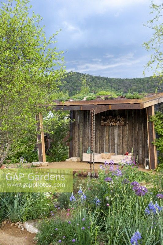 A wildlife garden using reclaimed building materials and timber, shelter with wooden bench and living roof - mixed perennial planting  of Camassia leichtlinii, Allium 'Purple Rain' and Hesperis matronalis,  Malvern Spring Festival Wilder Spaces Garden for Wildlife Trusts