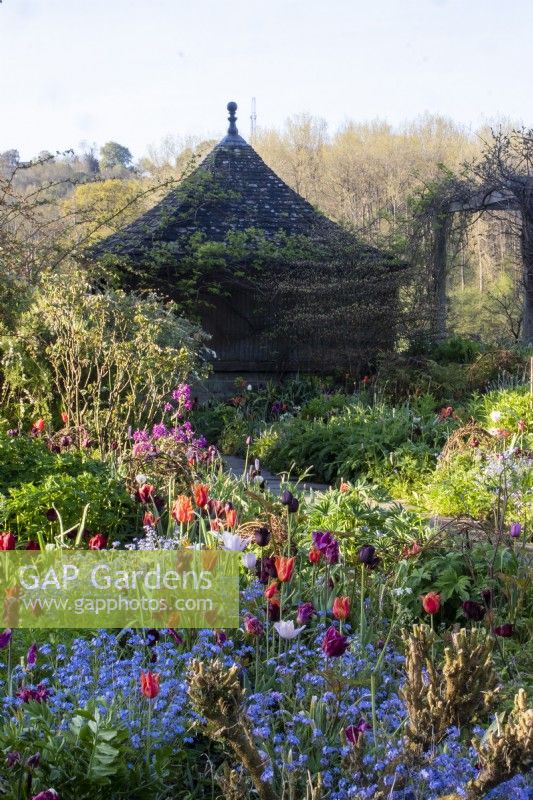 Early morning sunshine on spring borders filled with tulips and forget-me-nots looking towards a tiled summerhouse and pergola at Gravetye Manor.