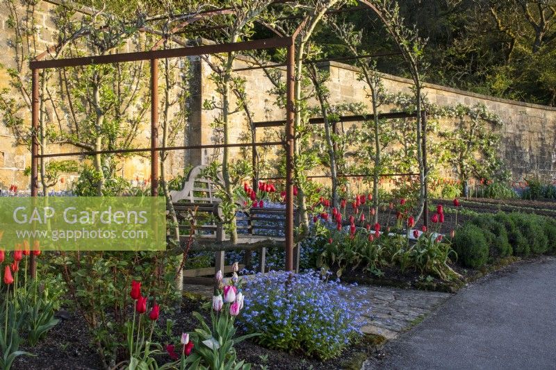A wooden seat under an metal arbour with trained fruit trees over in the Kitchen Garden at Gravetye Manor.