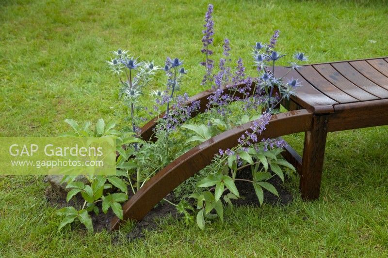 Curved wooden seating in 'Curves and Cube' garden, RHS Chatsworth Flower Show 2017, June