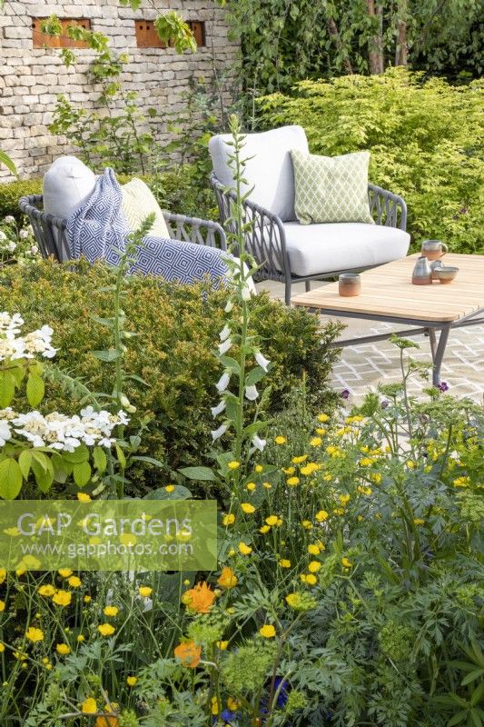Patio seating area with table and chairs with Taxus baccata hedge, mixed perennial planting, Trollius chinensis 'Golden Queen', Ranunculus acris, Digitalis purpurea 'Albiflora' - drystone wall with corten steel bird boxes