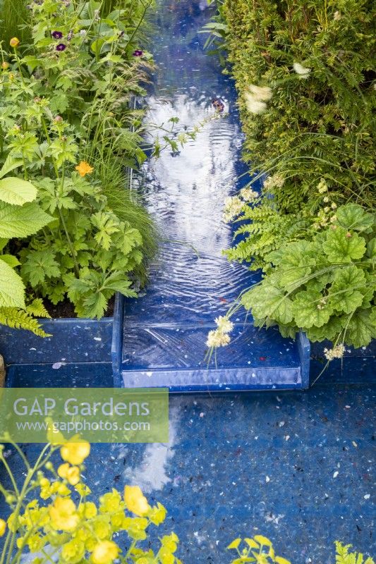 A modern contemporary water rill made from recycled plastics with mixed perennial planting Geranium phaeum 'Raven' and a Taxus baccata - English Yew hedge 