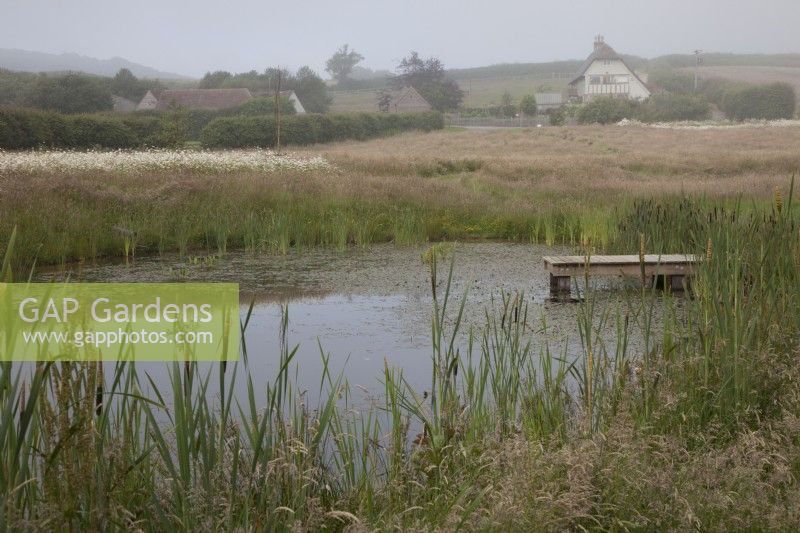Flower meadows and natural pond on a misty morning with Oak sleeper jetty and view of the house