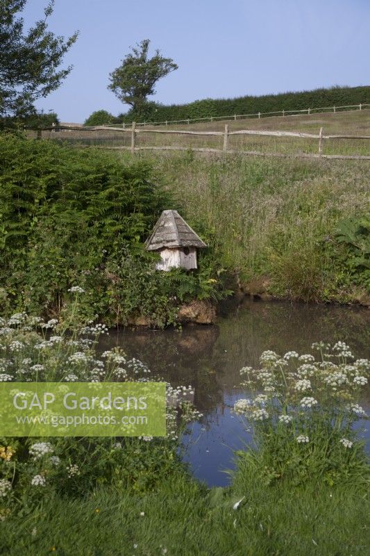 Natural wild  pond with duck house surrounded with Cow Parsley and fields.