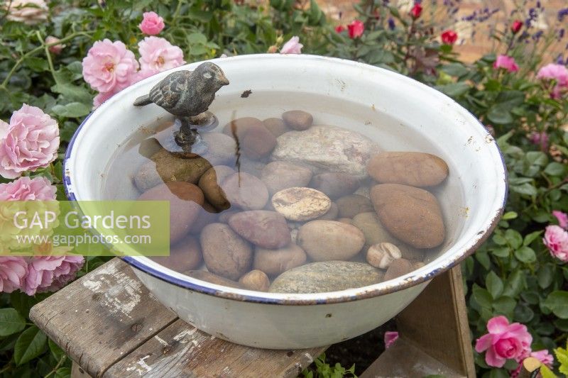 A vintage enamel bowl filled with pebbles used as a bird water bath