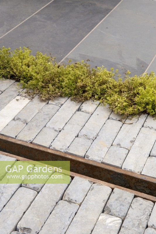 Grey clay brick pavers with a metal drainage channel with stone paving and creeping plant to soften the edges 