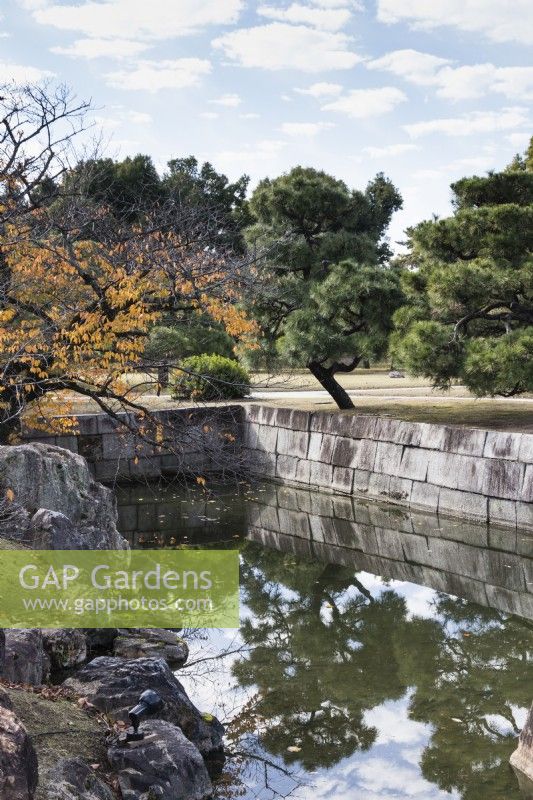 Canal and stone walls with view to Japanese Pines reflected in the water